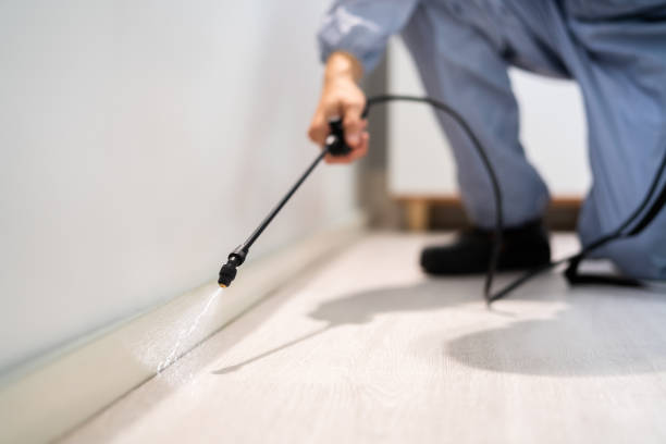 Licensed Rodent Control service in Jerome, ID - Nex Pest Control