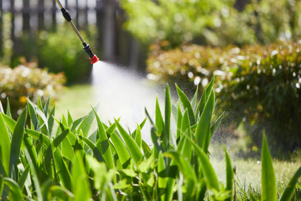 24/7 Emergency Rodent Control experts in Jerome, ID