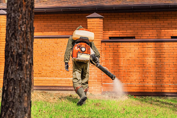 Trusted Rodent Control service in Jerome, ID - Nex Pest Control